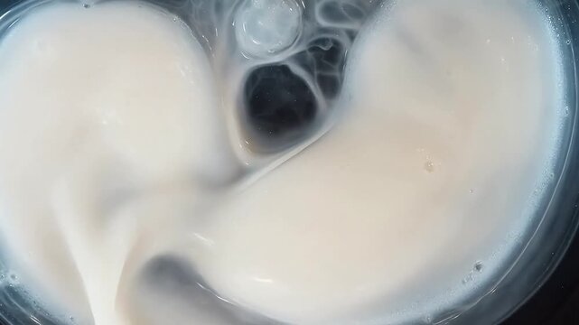 Radiographic Journey: Barium Contrast Visualization