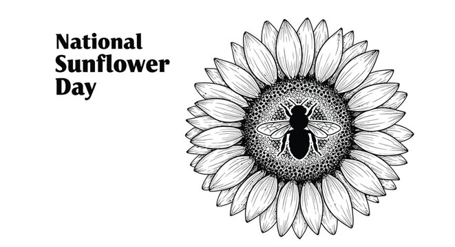 Celebrating national sunflower day with a stylized illustration of a bee on a sunflower