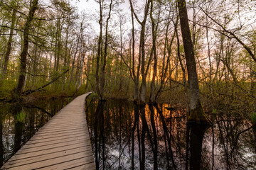 Stockholm, Sweden The Kyrksjolotens nature reserve near a small lake in the Bromma suburb at sunrise. © Alexander