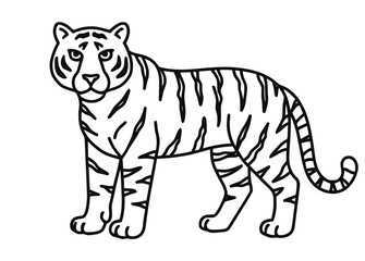 Obraz premium A standing tiger looking forward with its tail curled.