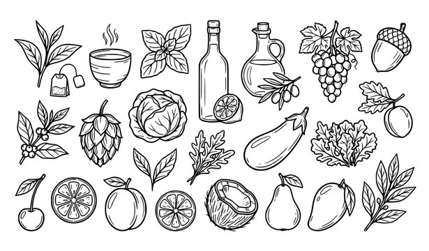 Modern Botanical Food Line Icon Set with Green Tea Fruits Vegetables and Organic Ingredient Symbols