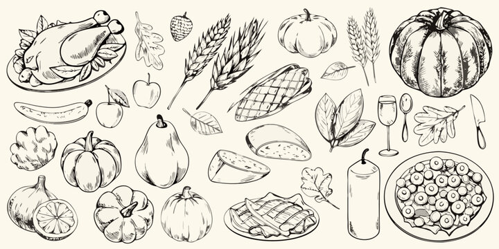 thanksgiving food illustration set hand drawn sketch style