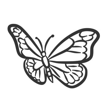 Butterfly line art illustration, garden insect pollinator element, minimal outline nature icon
