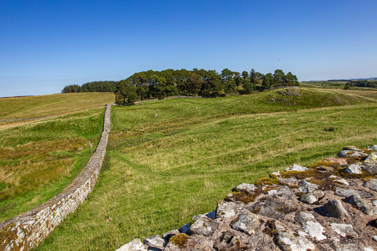 View of the ancient stone ruins of Hadrian's Wall at Vindolanda stretching across rolling green hills under a clear blue sky Hexham, England, United Kingdom.