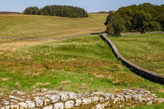 View of the ancient stone walls at Vindolanda archaeological site across rolling green hills and lush pastures under a clear blue sky Hexham, England, United Kingdom.