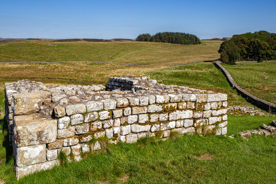 View of the ancient stone ruins of Vindolanda Roman fort set against rolling green hills and a clear blue sky in Hexham, England, United Kingdom.