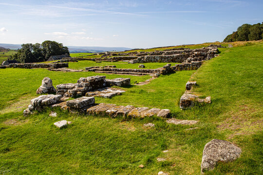 View of the ancient Roman stone foundations at Vindolanda archaeological site surrounded by green fields and rolling hills in Hexham, England, United Kingdom.