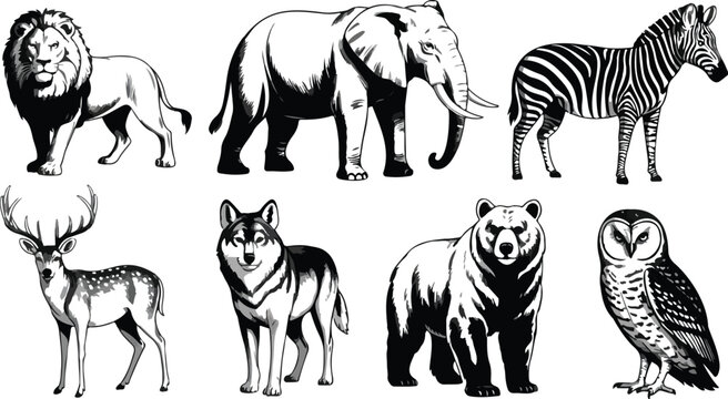 Wild animal vector set with lion elephant zebra deer wolf bear and owl isolated on white background for logo design.