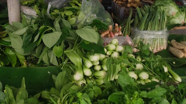 Assorted green herbs including lettuce basil coriander choy sum and leafy vegetables arranged on market counter in Asian street market. Fresh organic produce concept