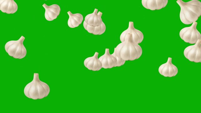 Falling fresh garlic motion graphics with green screen background
