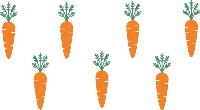 Fresh orange carrot vegetable vector set featuring multiple healthy root crops with green leaves isolated on white background