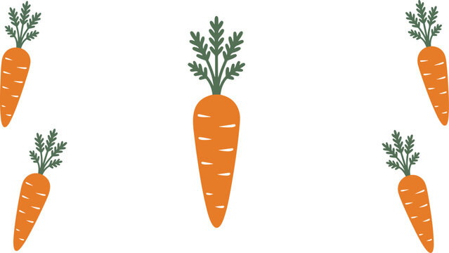 Fresh orange carrot vegetable vector set featuring multiple healthy root crops with green leaves isolated on white background