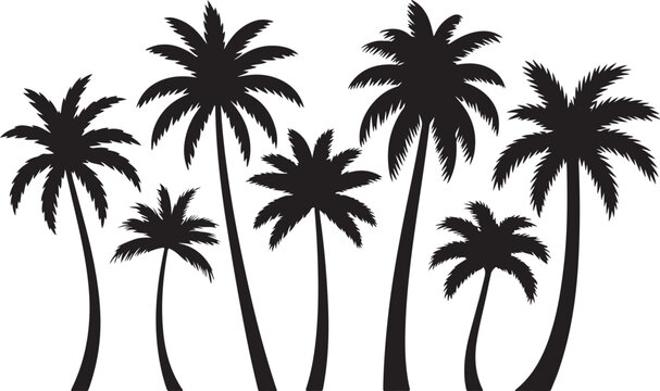 Set of palm tree silhouettes in various sizes and shapes representing tropical nature plants for beach landscape background.