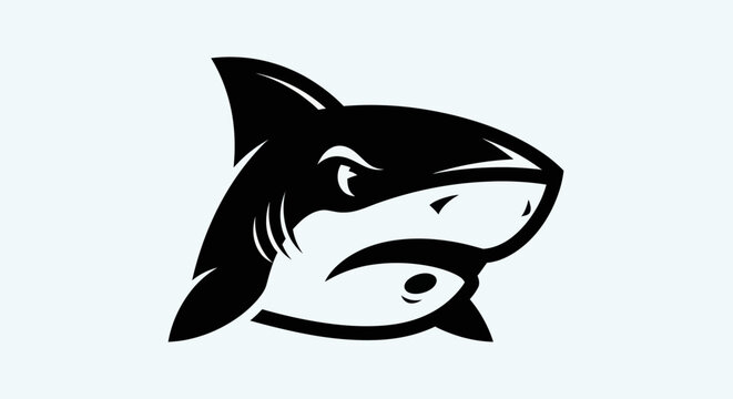 Shark head illustration in black and white