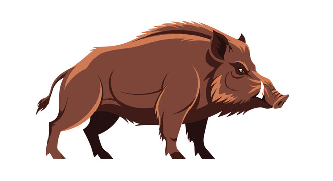 Powerful wild boar stands in a strong profile pose with sharp tusks and brown fur against a clean white background in a vector style.