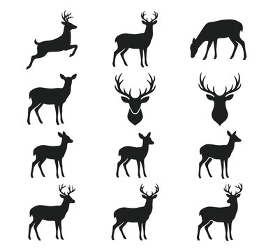 Deer and Buck Silhouette Collection, Elegant Stag Poses Vector Set