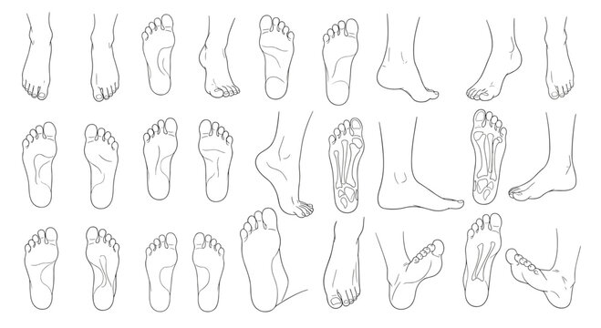 Large set of human foot and sole outlines showing various positions, structures, and anatomical details for medical use.