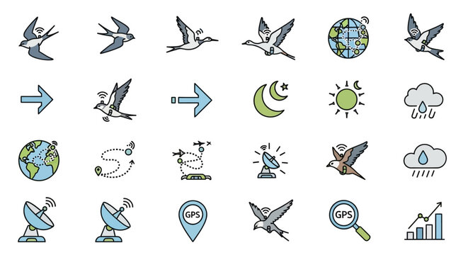 Bird Migration, Navigation, and Weather Icons Set