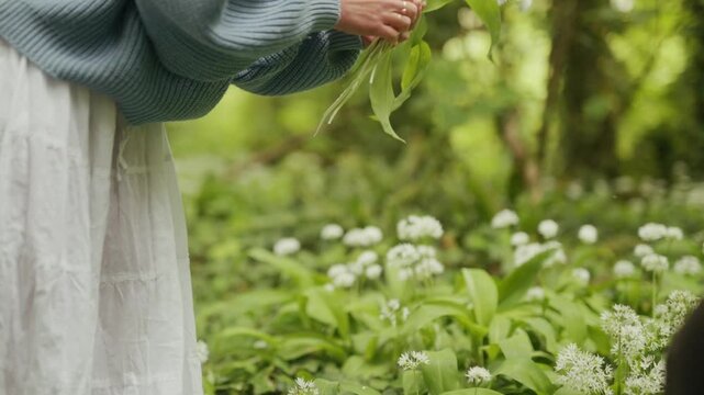 Woman smiles while foraging fresh wild garlic flowers in a green woodland park