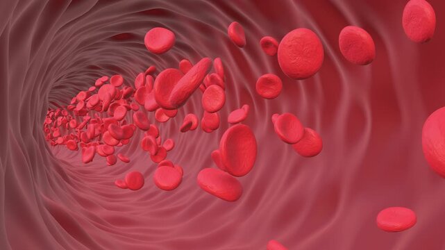 Red Blood Cells flow in the vein animation. Full HD. 4K