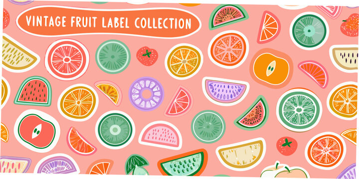 Colorful fruit pattern vintage style illustration with various citrus slices