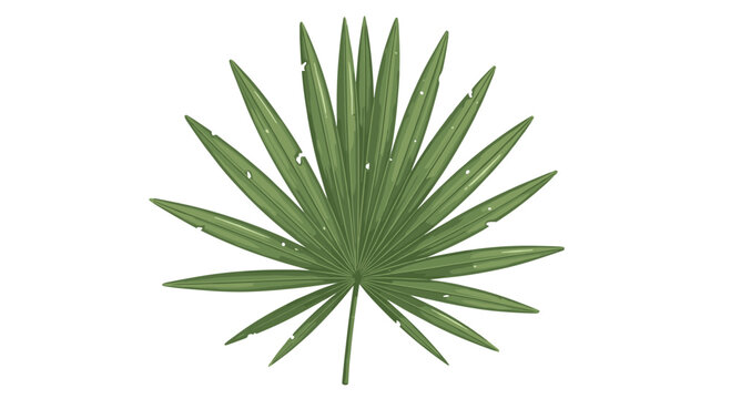 A single botanical palm leaf with sharp pointed leaflets and minor natural wear displayed in a centered composition against a soft neutral background with light tones.