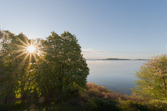Bright sunstar shining through lush green horse chestnut trees by the calm water of the Baltic Sea coast on R&uuml;gen Island Germany