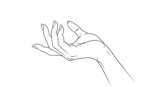 Elegant and minimal black and white line drawing of a feminine hand with long fingernails in a graceful pose.