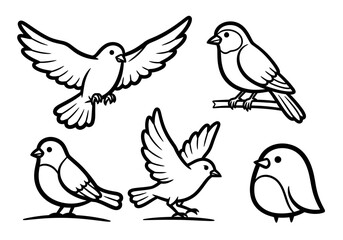 Fototapeta premium Set of Bird Illustration Vector Outlines: Flying and Perching Songbird Icons