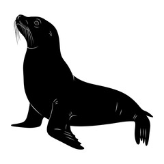 Black silhouette of a sea lion on a white background © Rifky