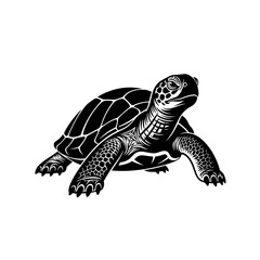 Black Silhouette of a Sea Turtle with Detailed Shell and Flippers, Isolated on White © Rifky