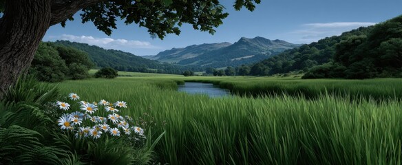 Naklejka premium Lush meadow landscape with oak trees surrounded by pristine nature and wild beauty