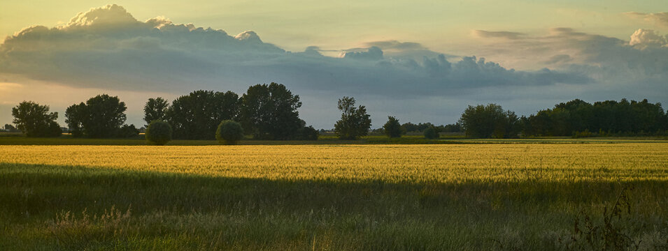 Countryside landscape detail 2