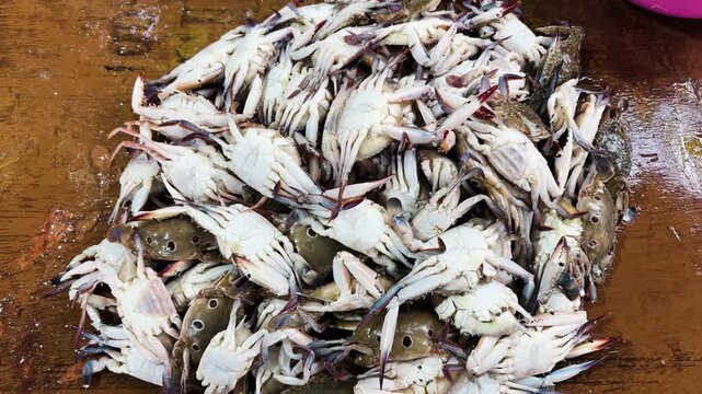 fresh blue swimmer crabs piled on wooden table seafood market raw catch for retail sale