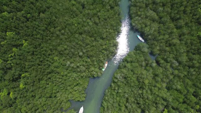 Top down aerial view of mangrove forest with winding river channel and boats on Koh Jum in Krabi Thailand. Tropical coastal ecosystem with lush green vegetation flowing water and natural patterns.
