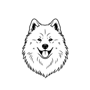 Happy Samoyed Dog Face, Line Art Illustration