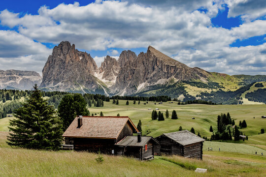 View over the alpine meadows with mountain cabins towards the Langkofel group with the peaks of Langkofel and Plattkofel on the Seiser Alm, Dolomites, South Tyrol, Italy.