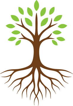 Tree with exposed roots and fresh green leaves illustration