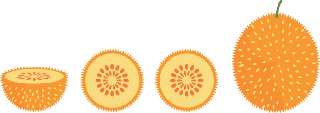 Gac Fruit Whole and Sliced Illustration Set with Seed Pattern Details for Tropical Food, Organic Nutrition and Exotic Produce Design Collection