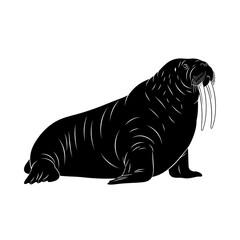 Silhouette of a Walrus with Tusks on White Background © sarmadi