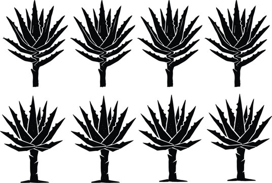 Set of black agave plant silhouettes on white background