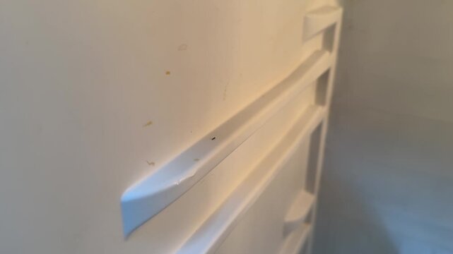 close up of empty mini refrigerator interior upper shelf area, clean appliance storage compartment concept