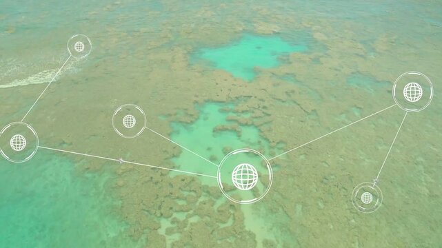 Large globe node appearing, network of translucent globe icons expanding and mapping reef layout