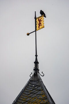 View of the Radboud Castle weather vane featuring a heraldic lion flag with a black bird perched on top against an overcast sky in Medemblik, Noord-Holland, Netherlands.
