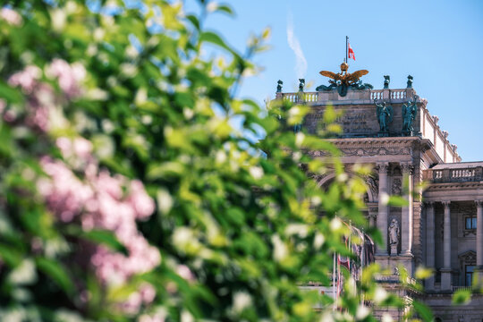 View of the ornate facade of the Hofburg Palace with its golden eagle statue framed by blooming pink flowers and green leaves under a clear blue sky in Vienna, Vienna, Austria.