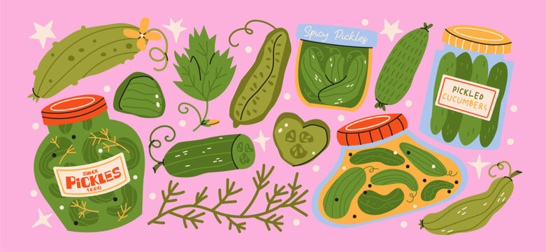 Pickled cucumber stickers with jars sliced pickles and dill herbs, fermented vegetables with brine marinade and homemade preservation food elements for pickle preparation and storage
