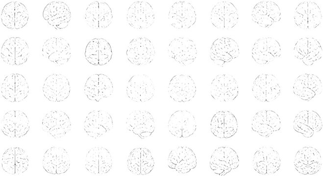 Brains medical illustration set with detailed anatomical features featuring brain, anatomy, human with neurons and cortex elements for lobes,