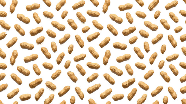 Seamless peanut pattern vector background with scattered shelled nuts for organic food packaging and textile prints