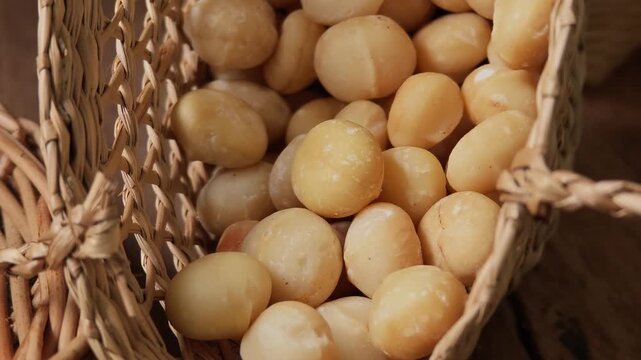 Video of macadamia nuts	