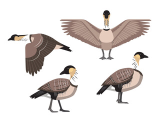 Hawaiian Nene Goose Cartoon Various Poses Vector Illustration © bullet_chained